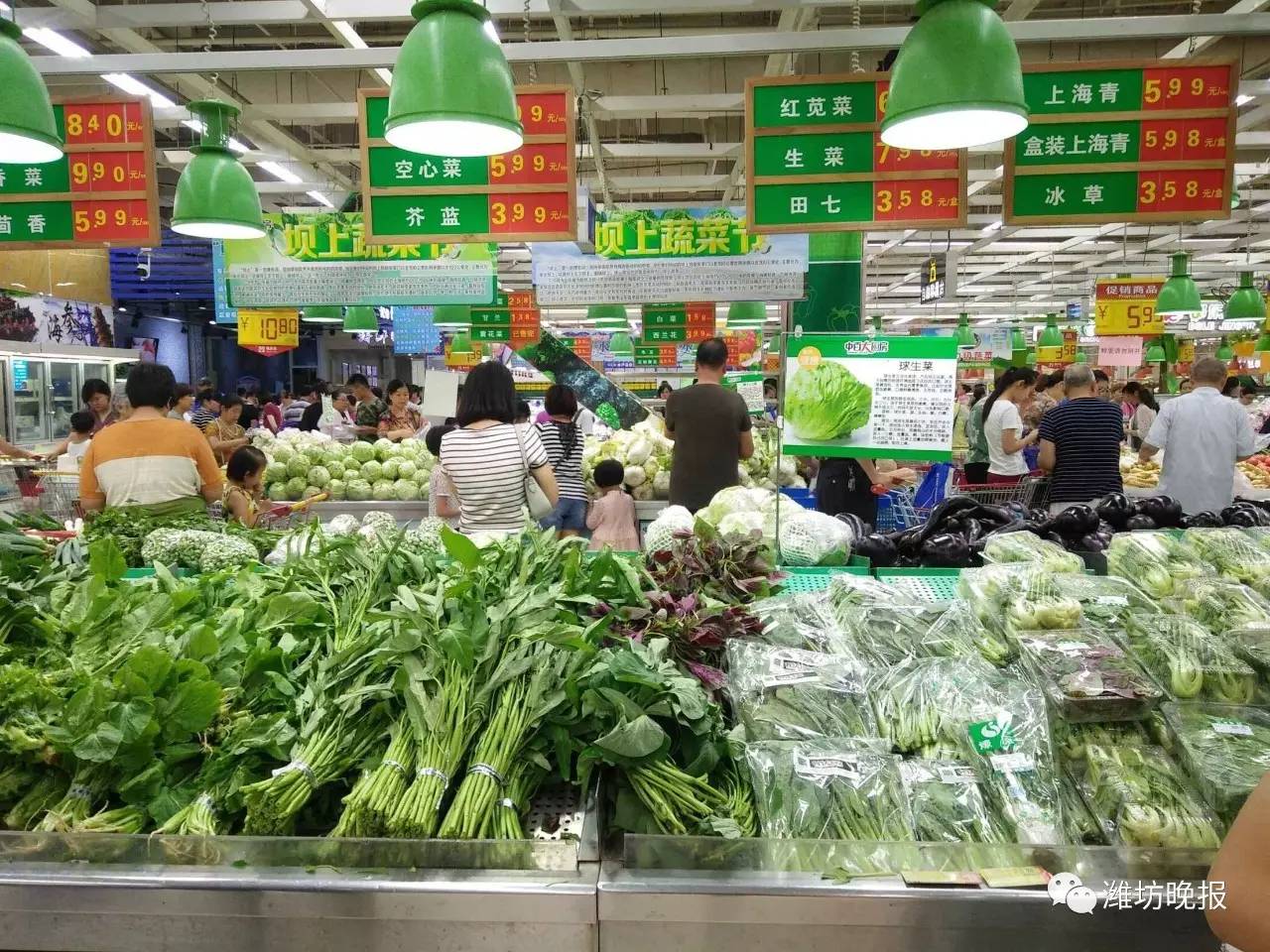 首次大规模上市济南商超卖火了！板蓝根青菜成市民餐桌上的“新宠”