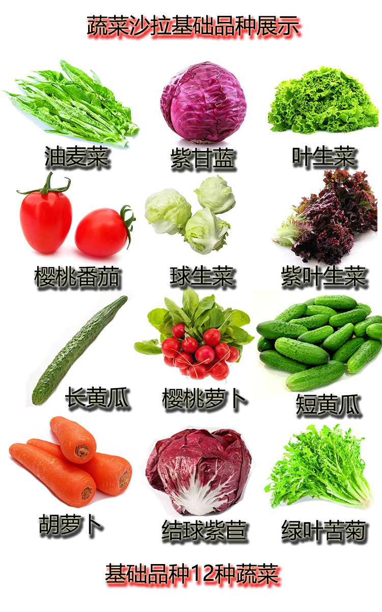 新鲜有特色 “菜篮子”越来越丰富 —— 绿色食品成长记系列报道之一