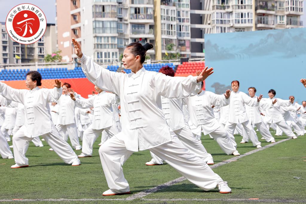 中国人民新闻传播中心网络部 欢迎你报考2025年军队文职人员